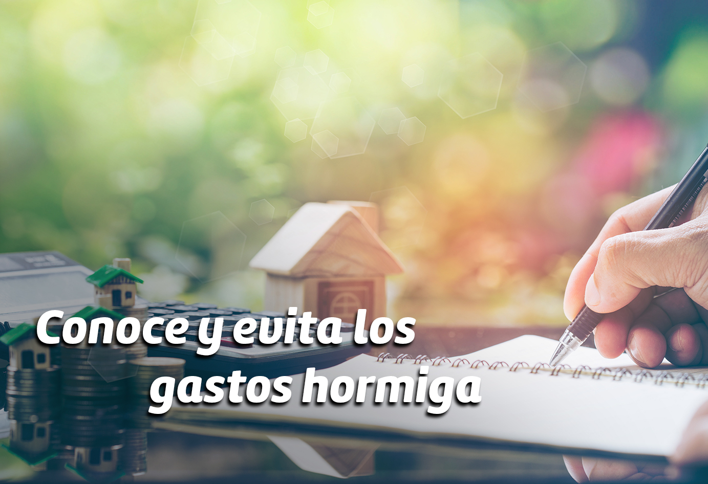 Conoce y evita los gastos hormiga